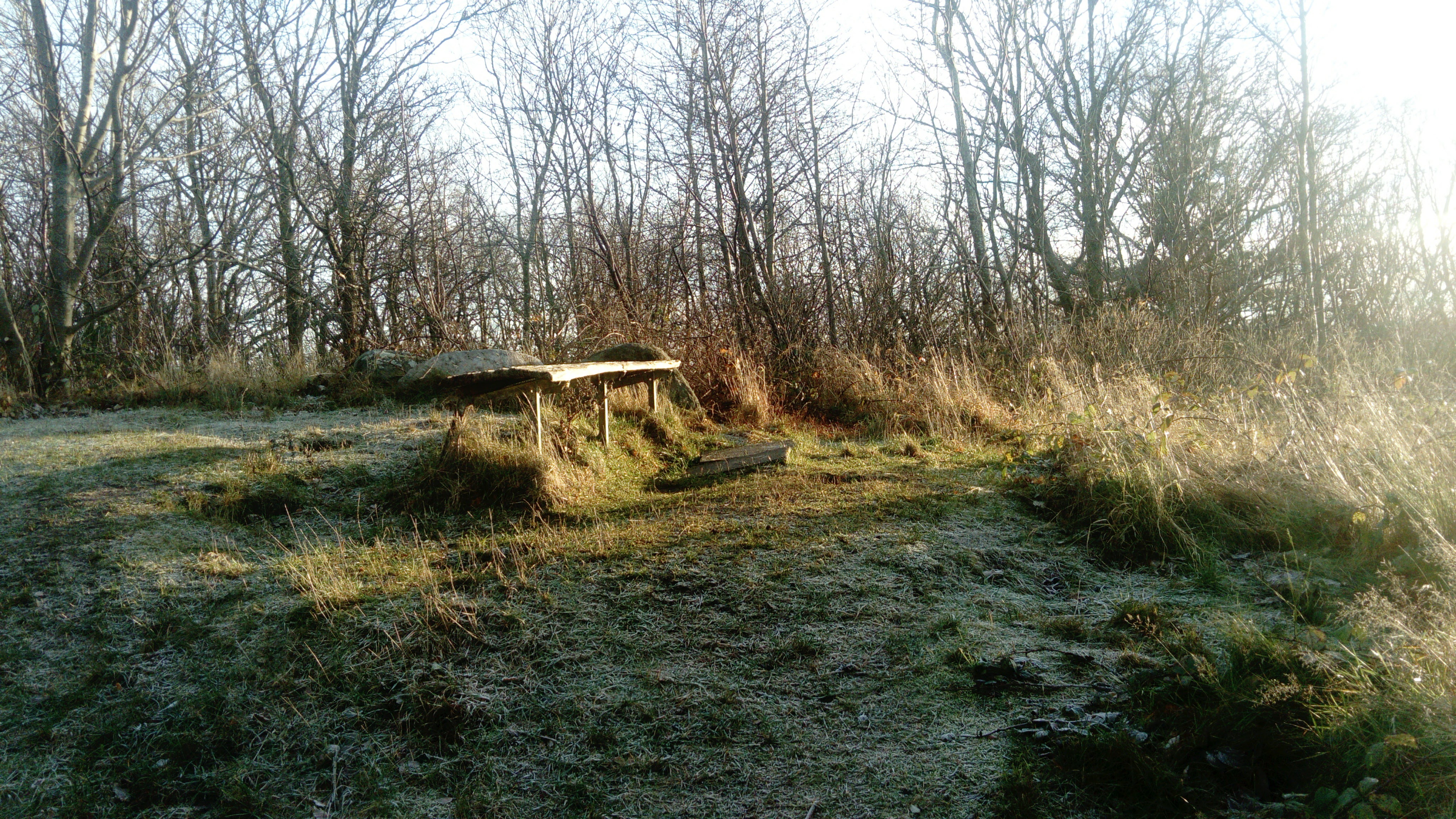 Bench
